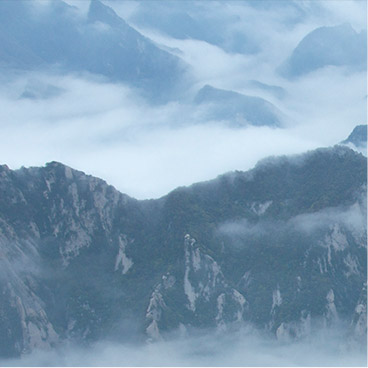 会员充值网站的手机号测压api